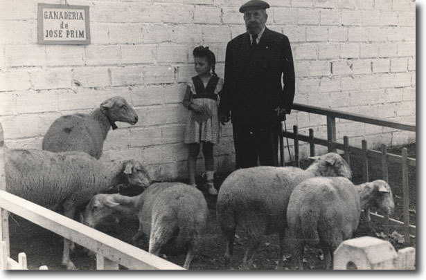 Exposició ramadera del 1946